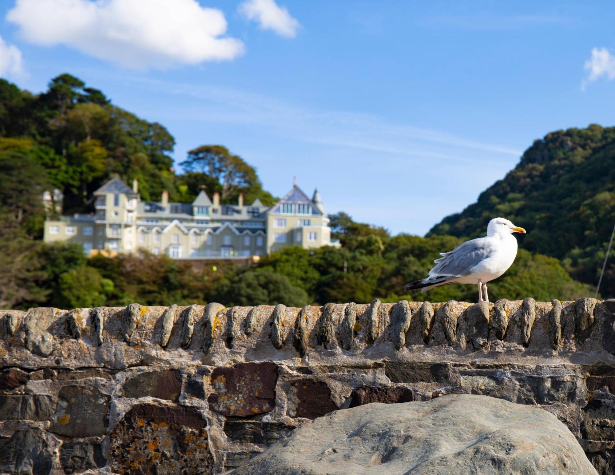 Apartament Tors Park Lynmouth Zewnętrze zdjęcie